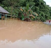 Luapan Air Sungai Masuk ke Permukiman Warga di Kelurahan Mentawir (Istimewa)