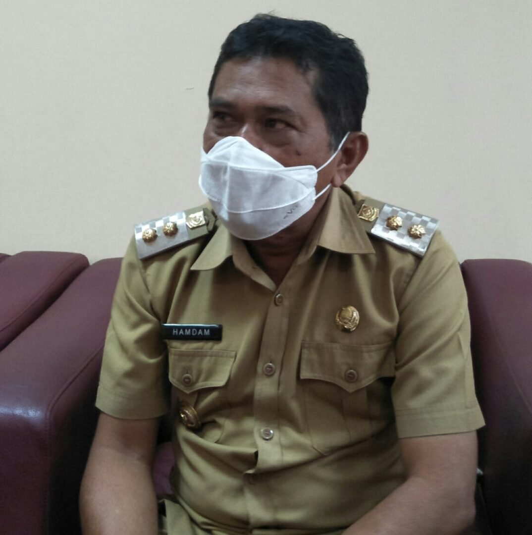 Wakil Bupati PPU, Hamdam