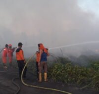 Berita PPU Terkini - Kasus kebakaran lahan di desa Giripurwa tahun 2018