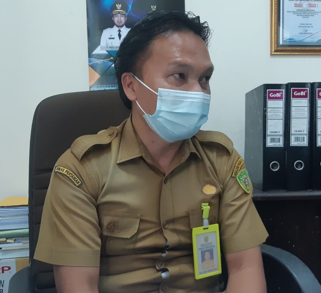 Kepala Bidang Peternakan dan Kesehatan Hewan Dinas Pertanian Kabupaten PPU, Arief Murdiyanto jumlah hewan kurban meningkat dari tahun sebelumnya.