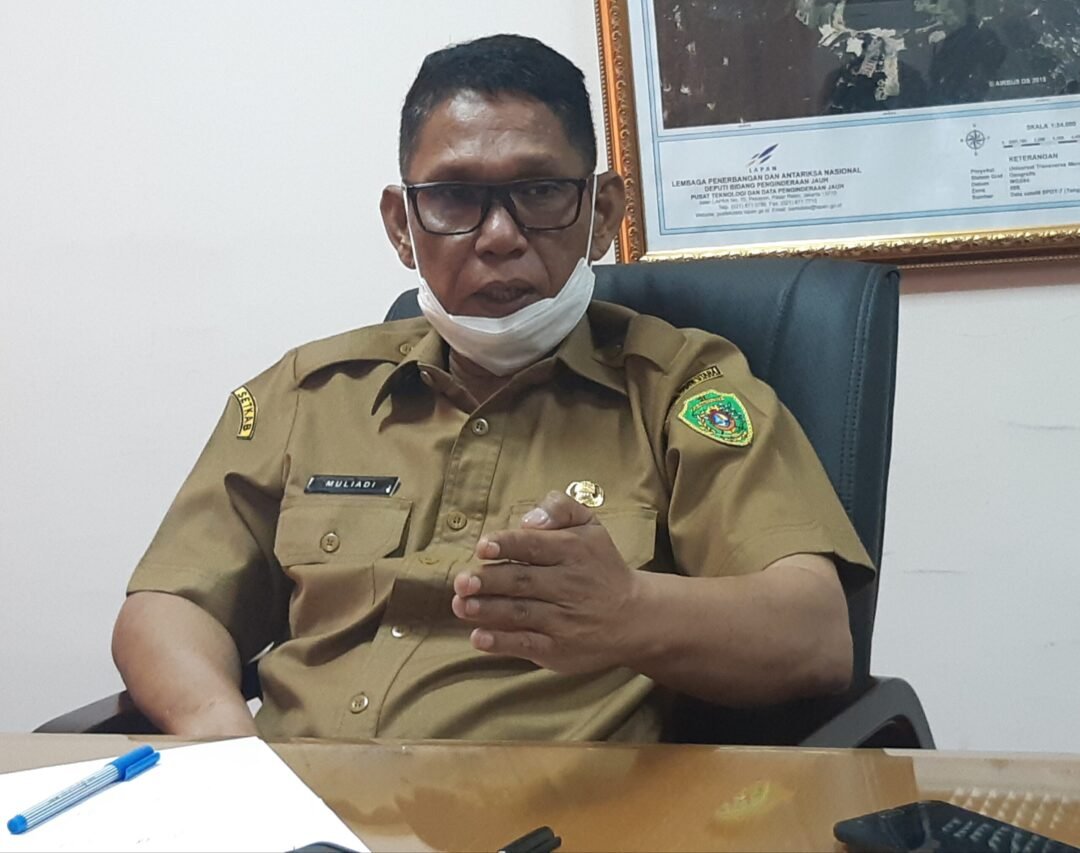 Pelaksana Tugas (Plt) Sekda PPU, Muliadi