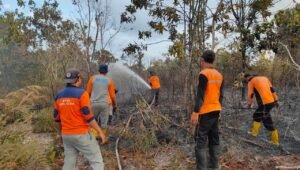 Proses penanganan kebakaran hutan dan lahan di wilayah PPU