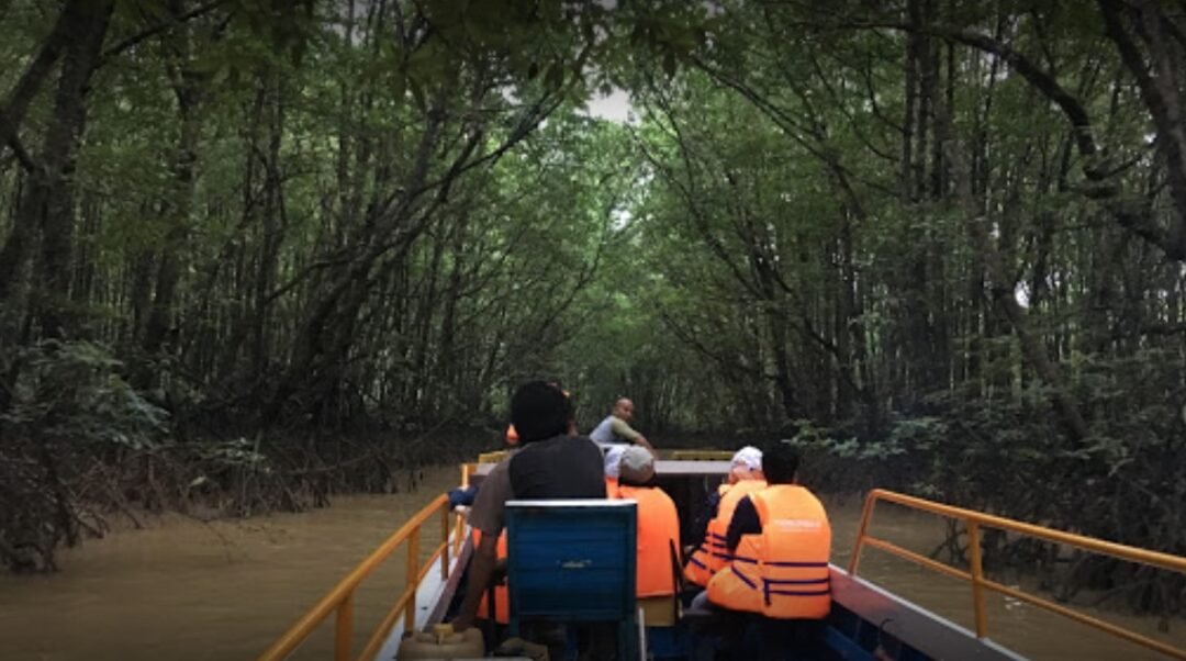 melihat bekantan di hutan mangrove balikpapan