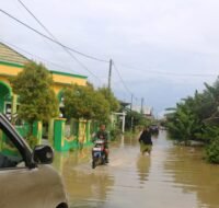 Banjir rob genangi permukiman warga Kelurahan Waru