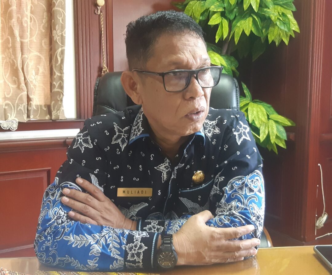 Pelaksana tugas (Plt) Sekretaris Daerah Kabupaten PPU, Muliadi menyayangkan masih maraknya aktivitas pengerukan batu bara di wilayah Sepaku.