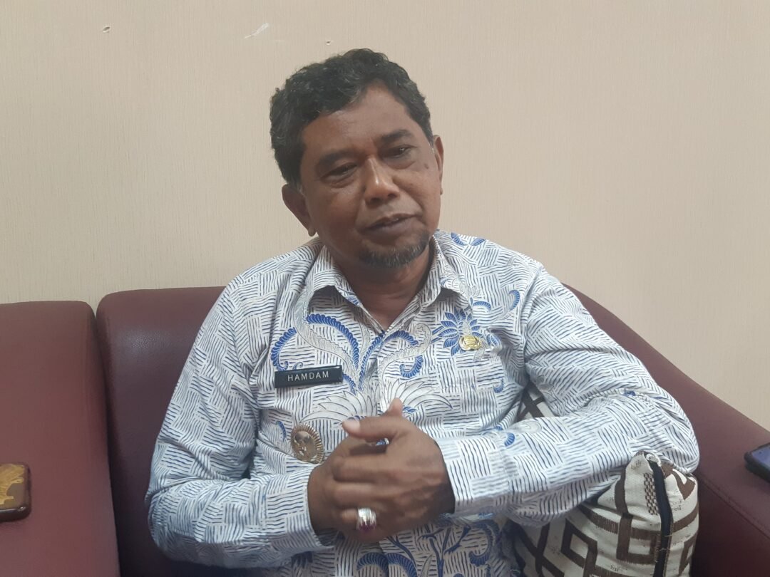Ketua BNK Kabupaten PPU, Hamdam