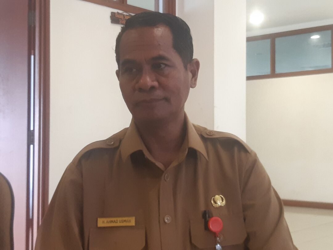 Asisten II Bidang Ekonomi dan Pembangunan Setkab PPU Ahmad Usman