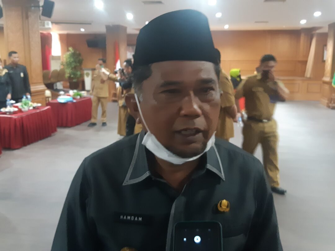 Pelaksana tugas (Plt) Bupati Penajam Paser Utara (PPU), Hamdam