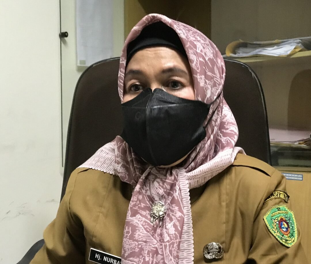 Kepala Bidang Pemerintahan Desa Dinas Pemberdayaan Masyarakat dan Desa (DPMD) Kabupaten PPU, Nurbayah