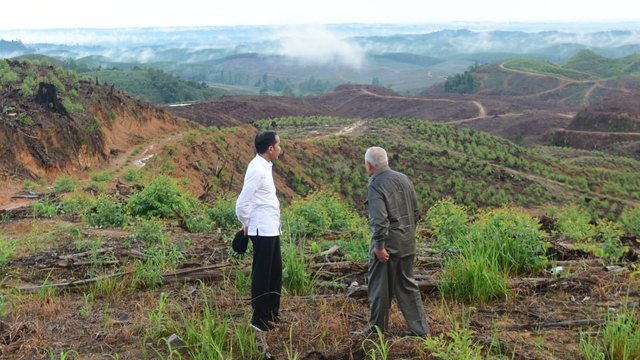 Presiden Jokowi dan Gubernur Kaltim Isran Noor saat kunjungan kerja ke kawasan IKN beberapa waktu lalu.(Ist)