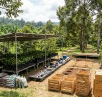 200 Petani Durian Kukar Dapat Pelatihan Budidaya Demi Tembus Pasar Ekspor