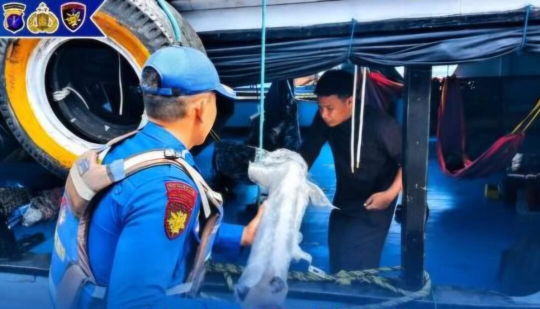 Ditpolairud Polda Kaltim Perkuat Pengamanan Pelabuhan Handil Terusan, Keselamatan Penumpang Jadi Prioritas Utama