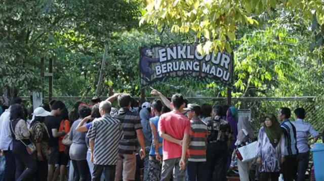 Rekomendasi Wisata Balikpapan: Dari Hutan, Pantai, Hingga Kuliner Rekomendasi Wisata Balikpapan: Dari Hutan, Pantai, Hingga Kuliner