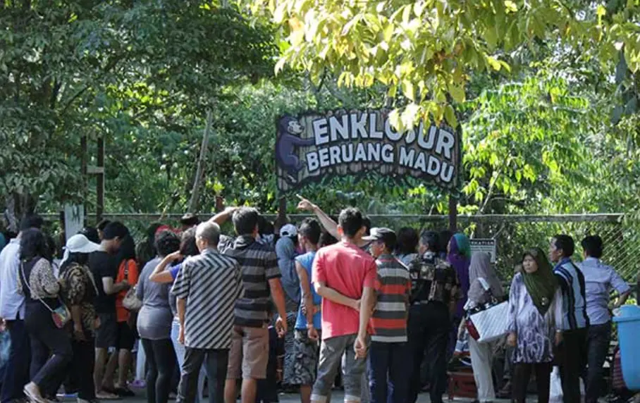 Rekomendasi Wisata Balikpapan: Dari Hutan, Pantai, Hingga Kuliner