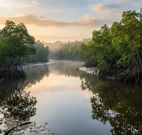 Destinasi Wisata Kaltim 2026 Hadirkan Surga Bahari dan Ekowisata Destinasi Wisata Kaltim 2026 Hadirkan Surga Bahari dan Ekowisata