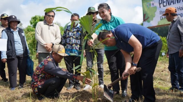 Demi Lindungi Pesut Mahakam, Warga Pesisir Kubar Kembangkan Budidaya Aren