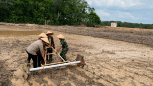 Gandeng TNI, Pemkab Kubar Mulai Tanam Padi di 69,87 Hektare Sawah Baru