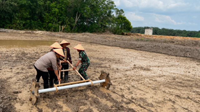 Gandeng TNI, Pemkab Kubar Mulai Tanam Padi di 69,87 Hektare Sawah Baru