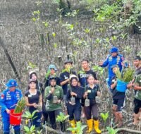 Ditpolairud Polda Kaltim Gandeng Duta PEPILINGASIH: Edukasi & Tanam 300 Bibit Mangrove di Pesisir Balikpapan