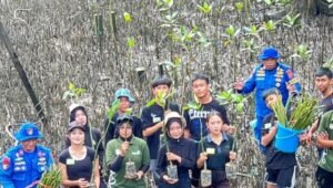 Ditpolairud Polda Kaltim Gandeng Duta PEPILINGASIH: Edukasi & Tanam 300 Bibit Mangrove di Pesisir Balikpapan Ditpolairud Polda Kaltim Gandeng Duta PEPILINGASIH: Edukasi & Tanam 300 Bibit Mangrove di Pesisir Balikpapan