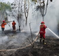 Puncak Kemarau, BPBD Kubar Ingatkan Warga soal Ancaman Karhutla