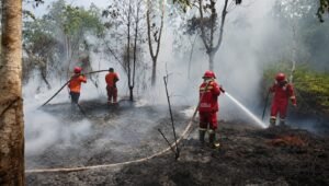 Puncak Kemarau, BPBD Kubar Ingatkan Warga soal Ancaman Karhutla